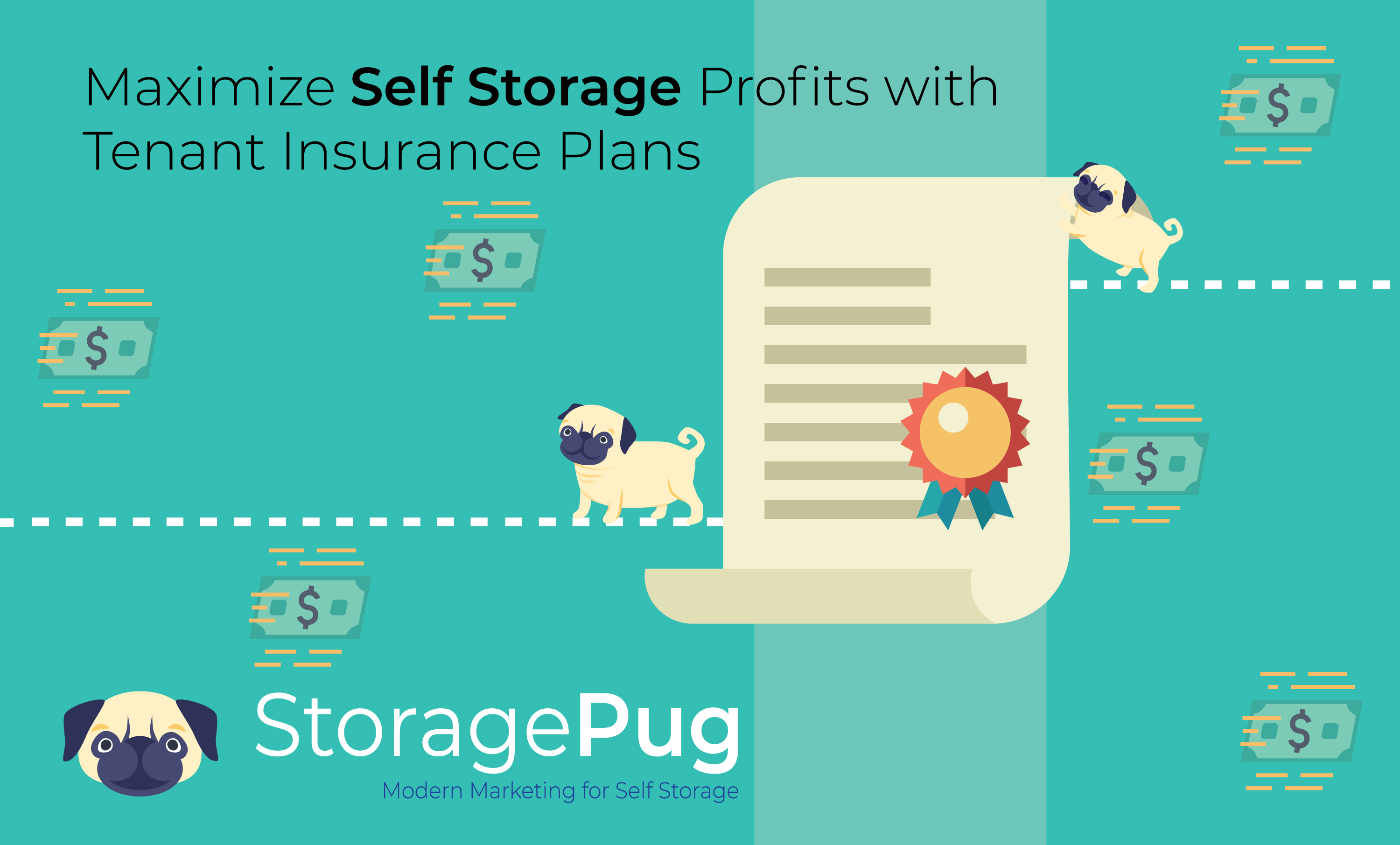 Maximize Self Storage Profits with Tenant Insurance Plans